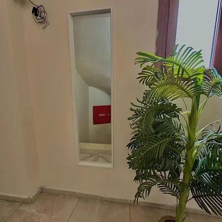 Green Suite 3*