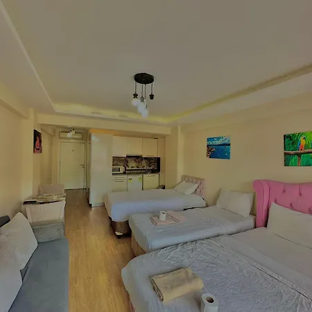 Green Suite 3*